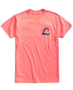 Quiksilver Men's Jagged Wave T-shirt