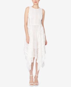 Catherine Catherine Malandrino Lace Fit & Flare Dress