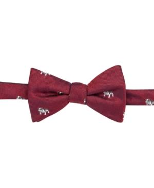 Countess Mara Men's Bulldog Pre-tied Bow Tie