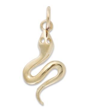 Coiled Snake Charm In 14k Gold