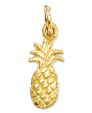 14k Gold Charm, Polished Pineapple Charm