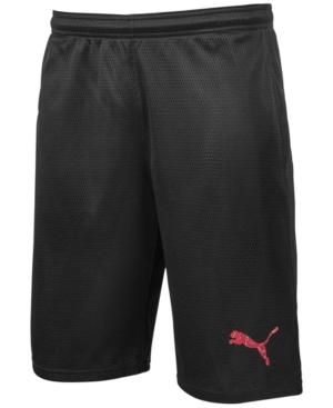 Puma Men's Mesh Training Shorts