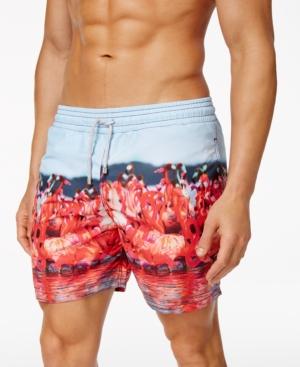 Velero Men's Flamingo Volley Shorts, 5