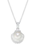 Cultured Freshwater Pearl (6-1/2mm) Shell Pendant Necklace In Sterling Silver