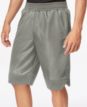 Adidas Ice Fleece Shorts