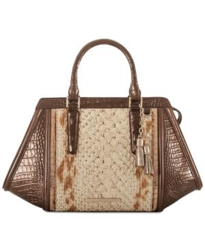 Brahmin Arden Satchel Carlisle