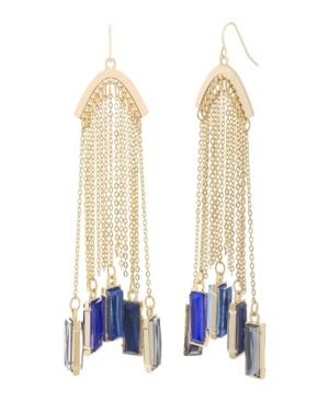 Catherine Malandrino Women's Multicolored Clustered Rhinestone Yellow Gold-tone Rolo Chain Tassel Earrings