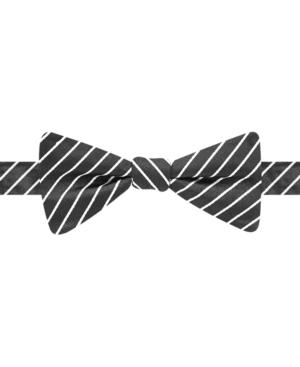 Countess Mara Fine Line Stripe Pre-tied Bow Tie