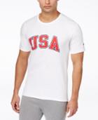 Champion Men's Usa Graphic T-shirt