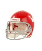 Riddell Dallas Texans Nfl Mini Helmet