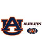 "stockdale Auburn Tigers 12"" X 12"" Multi-pack Magnet Set"