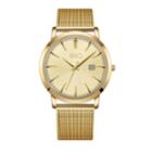 Men's Esq0042 Domed Crystal Gold Tone Ip Stainless Steel Watch, Matching Dial