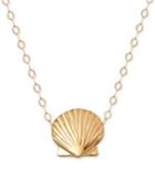 Seashell Pendant Necklace In 10k Gold