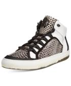 Roberto Cavalli Men's Willy A High-tops Men's Shoes