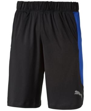 Puma Men's Drycell 10 Colorblocked Shorts