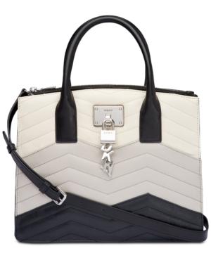 Dkny Elissa Medium Satchel, Created For Macy's