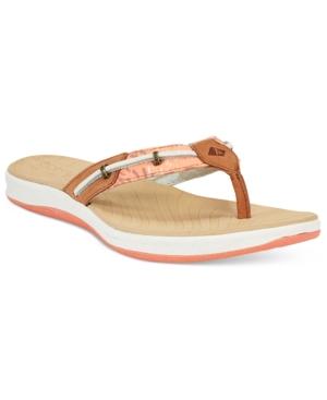 Sperry Women's Seabrooke Surf Flip Flops Women's Shoes