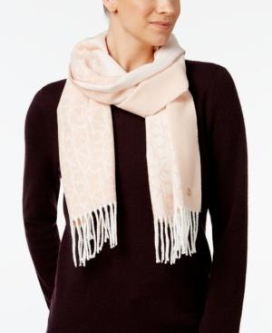 Calvin Klein Signature & Solid Border Scarf
