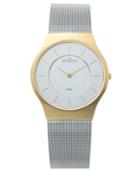 Skagen Watch, Men's Stainless Steel Mesh Bracelet 34mm 233lgs