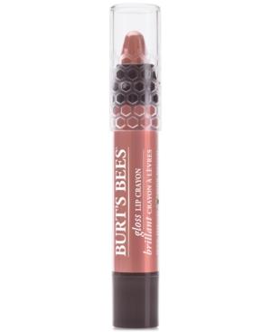 Burt's Bees Gloss Lip Crayon