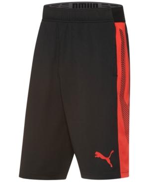 Puma Men's Drycell Formstripe Shorts