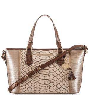 Brahmin Mini Asher Ray Artemisa Small Satchel