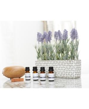 Gaiam 4-pk. Essential Oils