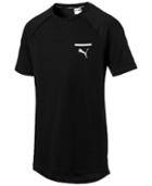 Puma Men's Evo Drycell T-shirt