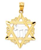 14k Gold And Sterling Silver Charm, Star Of David Charm