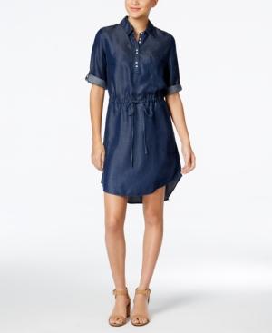 Lee Platinum Denim Shirtdress