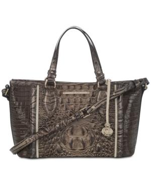 Brahmin Asher Elmwood Padua Mini Satchel