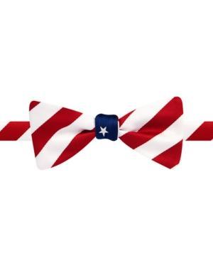 Countess Mara Reversible Stripe & Stars Bow Tie
