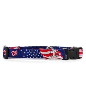 Hunter Manufacturing Washington Nationals Small Dog Collar