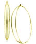 Essentials Double Row Wire Hoop Earrings