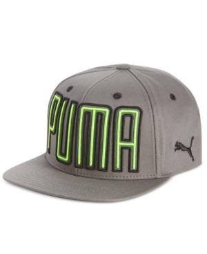 Puma Men's Thin Line Flat-bill Hat