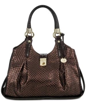 Brahmin Java Elisa Hobo