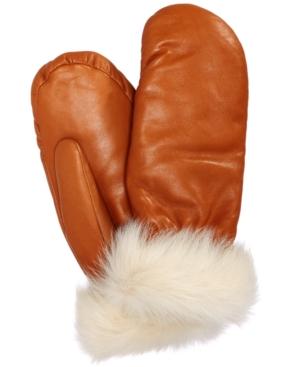 Ugg Carry Forward Mittens