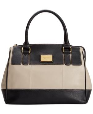 Tignanello Social Status Leather Satchel