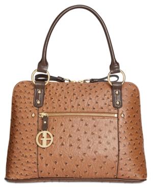 Giani Bernini Ostrich-embossed Medium Dome Satchel, Created For Macy's