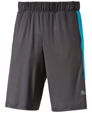 Puma Men's Drycell Colorblocked Shorts