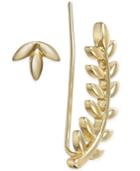Abs By Allen Schwartz 12k Gold-plated Leaf Stud And Ear Climber