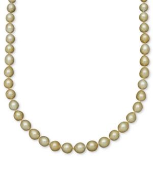 Pearl Necklace, 14k Gold Golden South Sea Pearl Oval Strand (10-12mm)