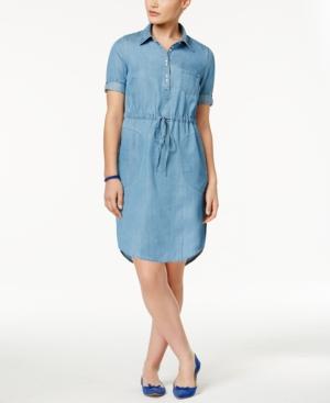 Lee Platinum Petite Chambray Shirtdress