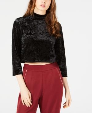 Leyden Velvet Cropped Mock Neck Top