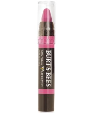 Burt's Bees Lip Color Crayon