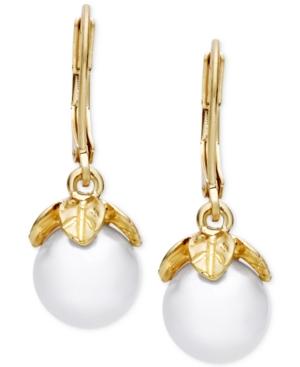 Lonna & Lilly Imitation Pearl Vine-inspired Drop Earrings
