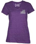 Royce Apparel Inc Women's Texas Christian Horned Frogs Logo T-shirt