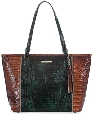 Brahmin Asher Hunter Cannon Tote