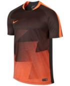 Nike Flash Graphic Training T-shirt