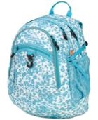High Sierra Colorblocked Backpack